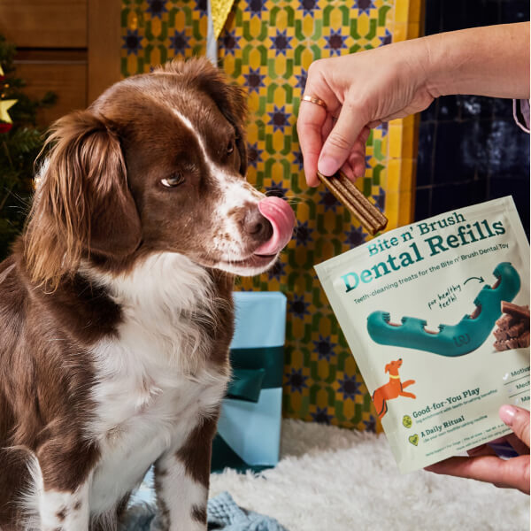 Bite n' Brush Refills