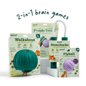 DualPlay Starter Pack