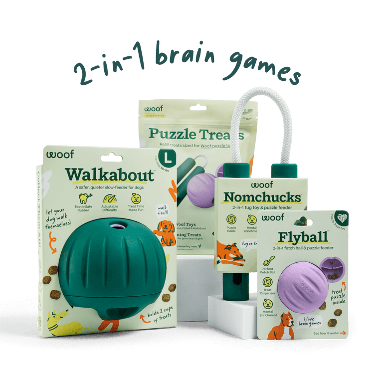 DualPlay Starter Pack