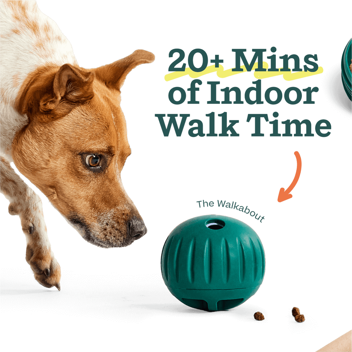 DualPlay Starter Pack