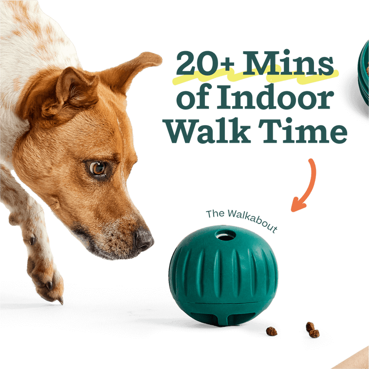 DualPlay Starter Pack