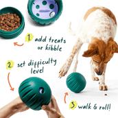 DualPlay Starter Pack