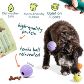 DualPlay Starter Pack