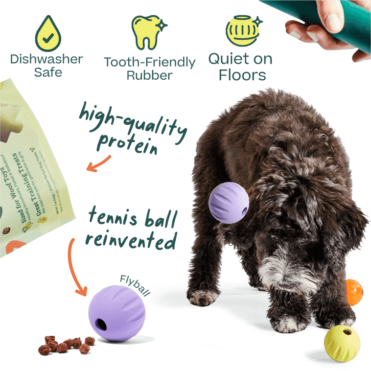 DualPlay Starter Pack