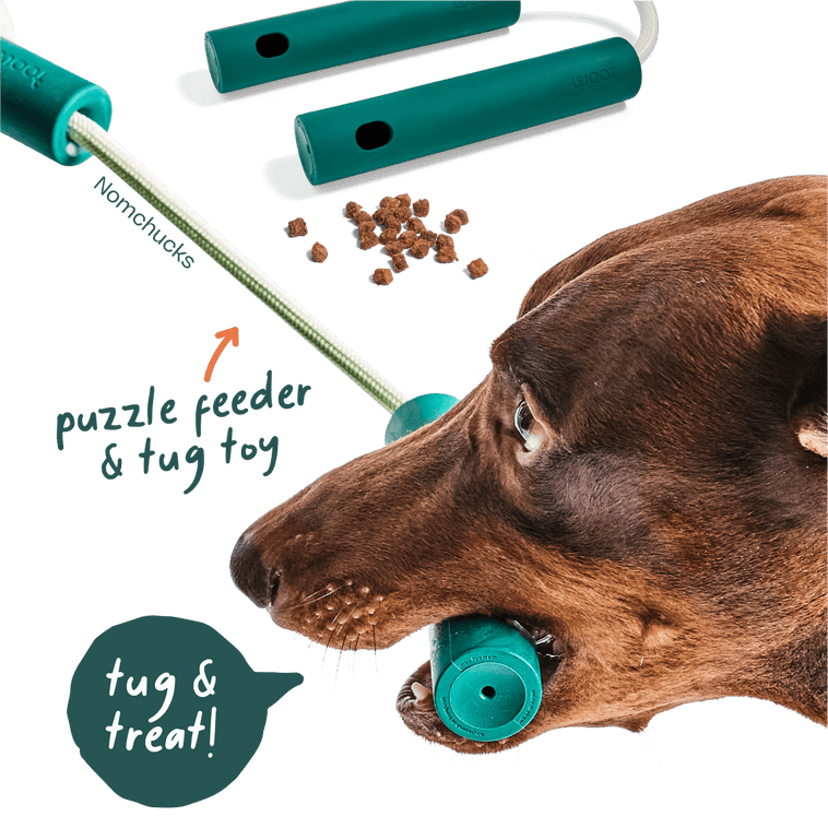 DualPlay Starter Pack