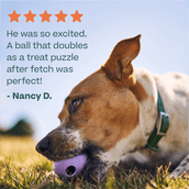 DualPlay Starter Pack