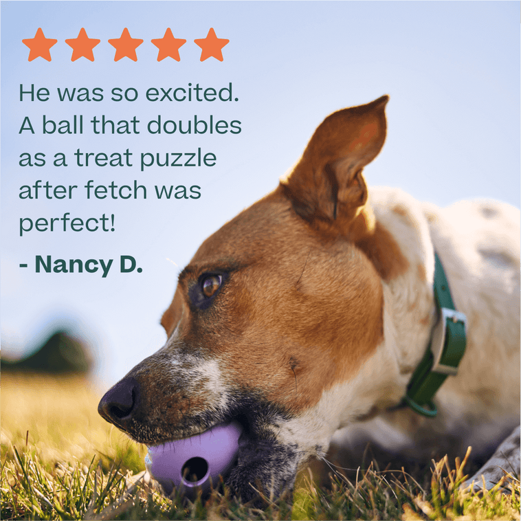 DualPlay Starter Pack