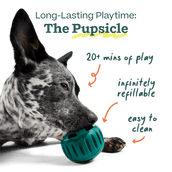Enrichment Essentials Pack