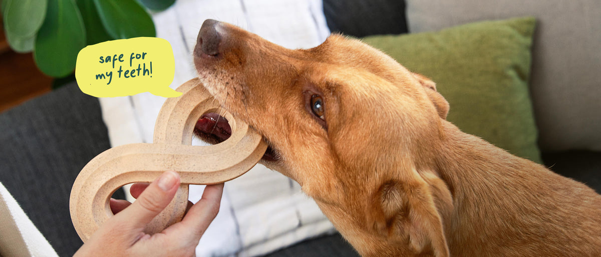 Woof Dog Products - The Amazing Pupsicle