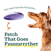 Fly n' Feed