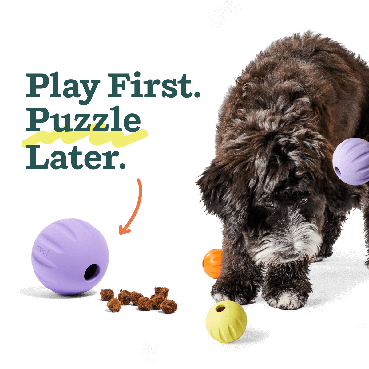 Flyball