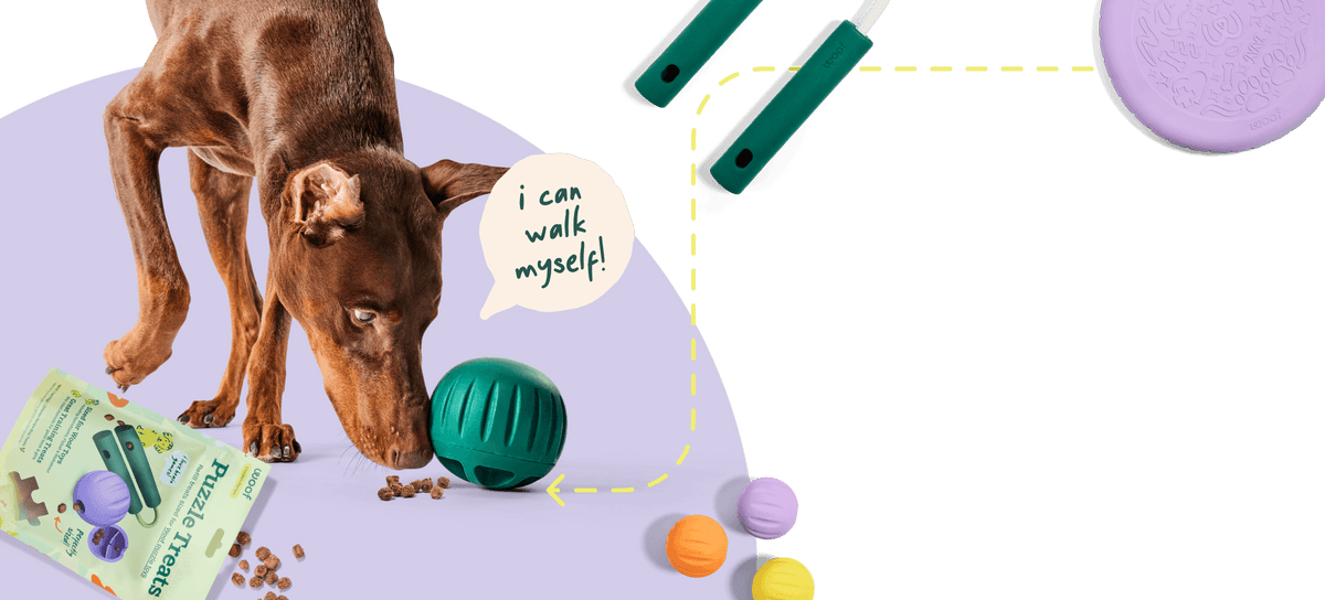 Woof Dog Products - The Amazing Pupsicle