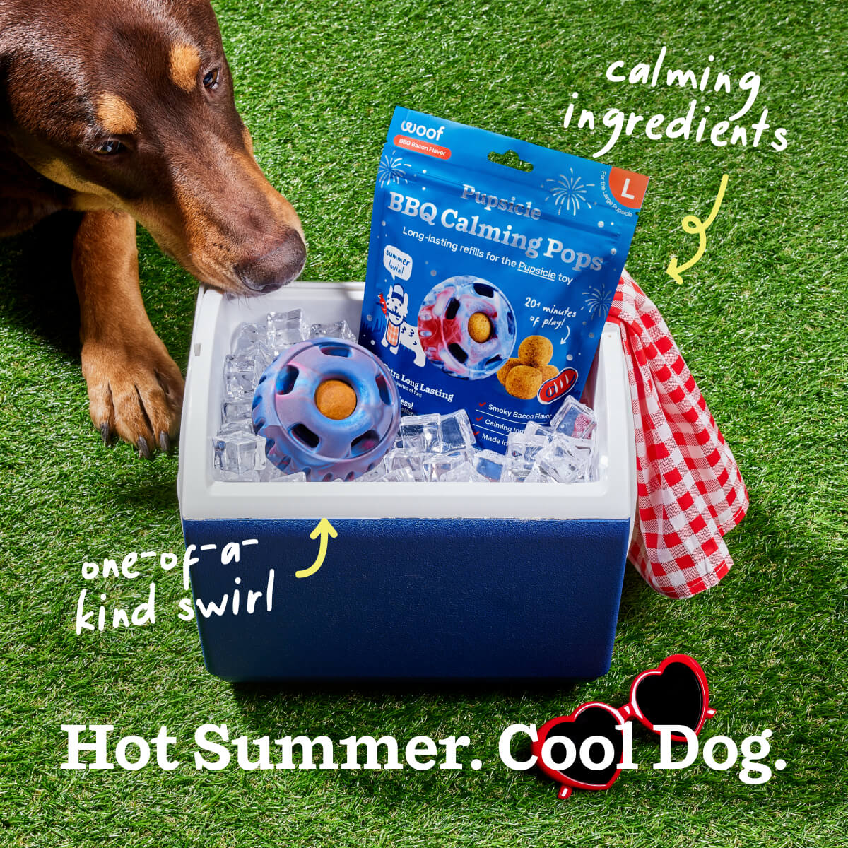 Grill & Chill Pack