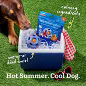 Grill & Chill Pack