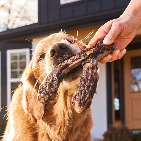HonestChew Meaty