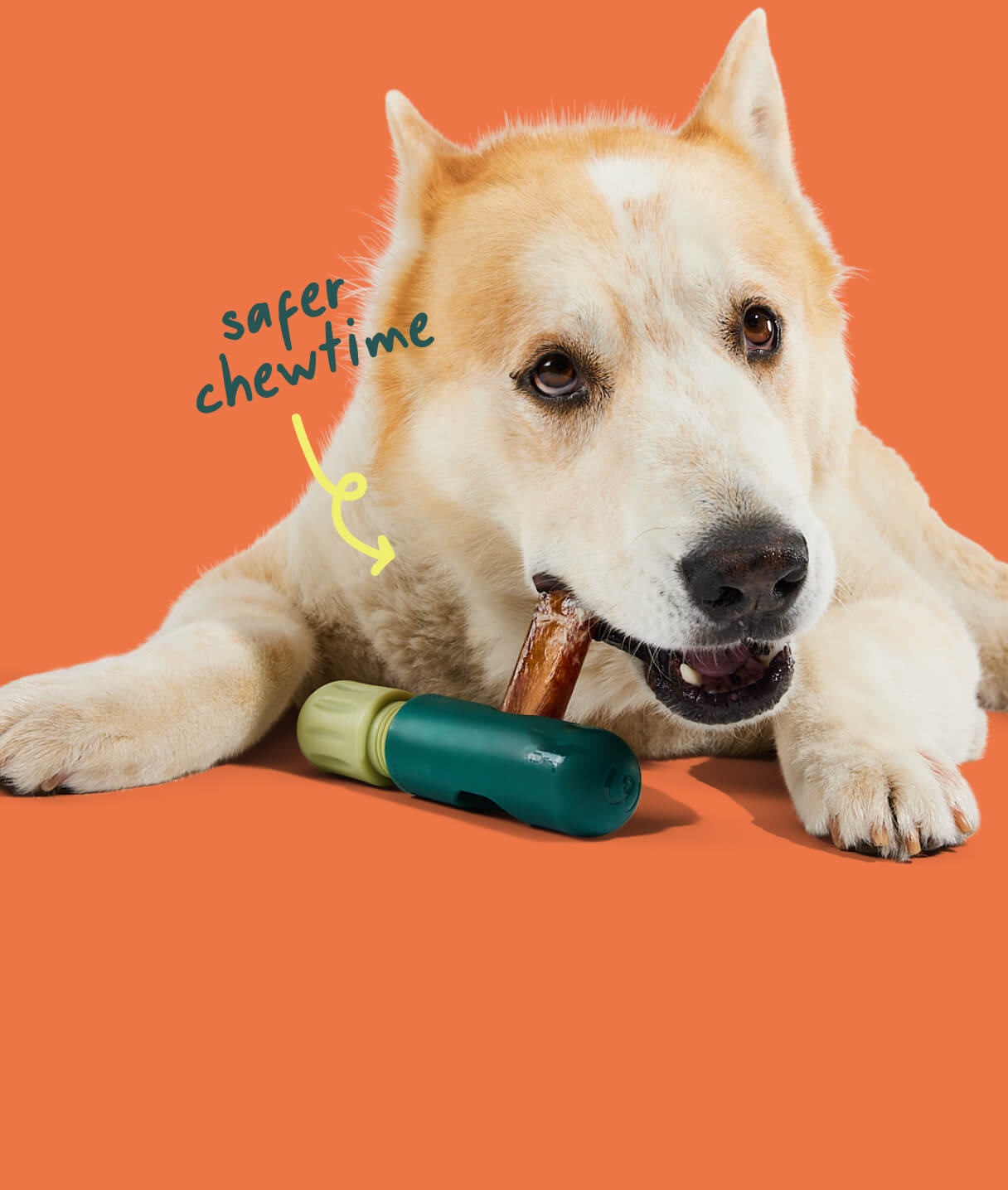 Woof Dog Products - The Amazing Pupsicle