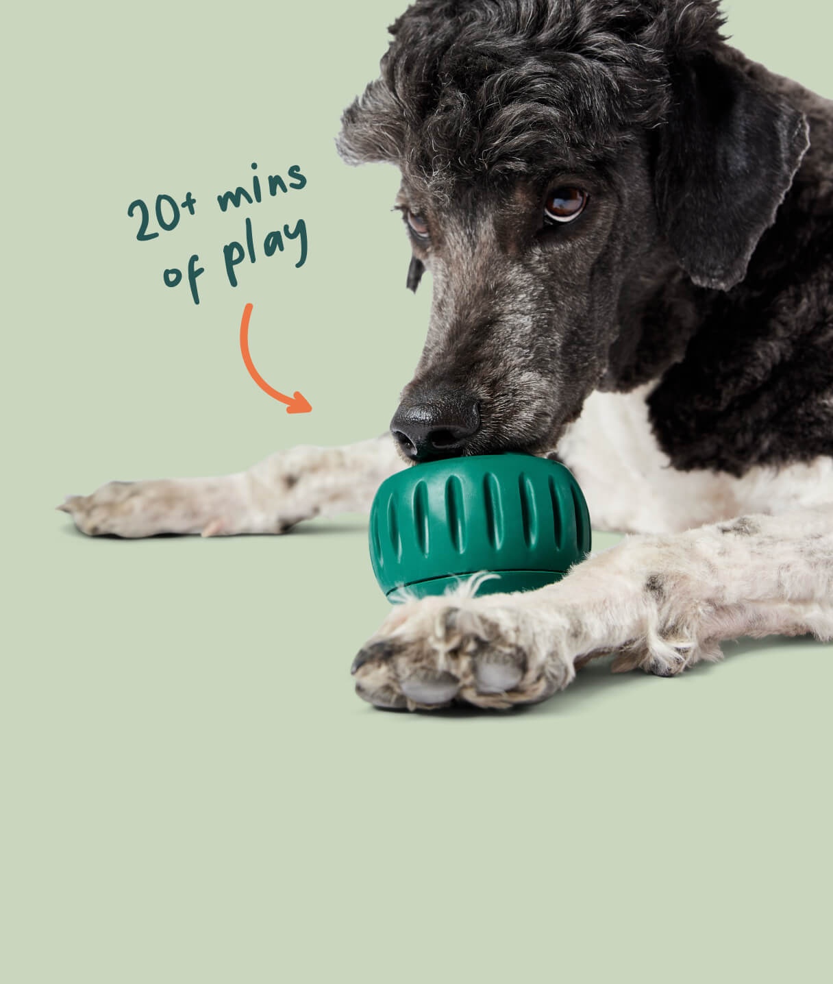 Woof Dog Products - The Amazing Pupsicle