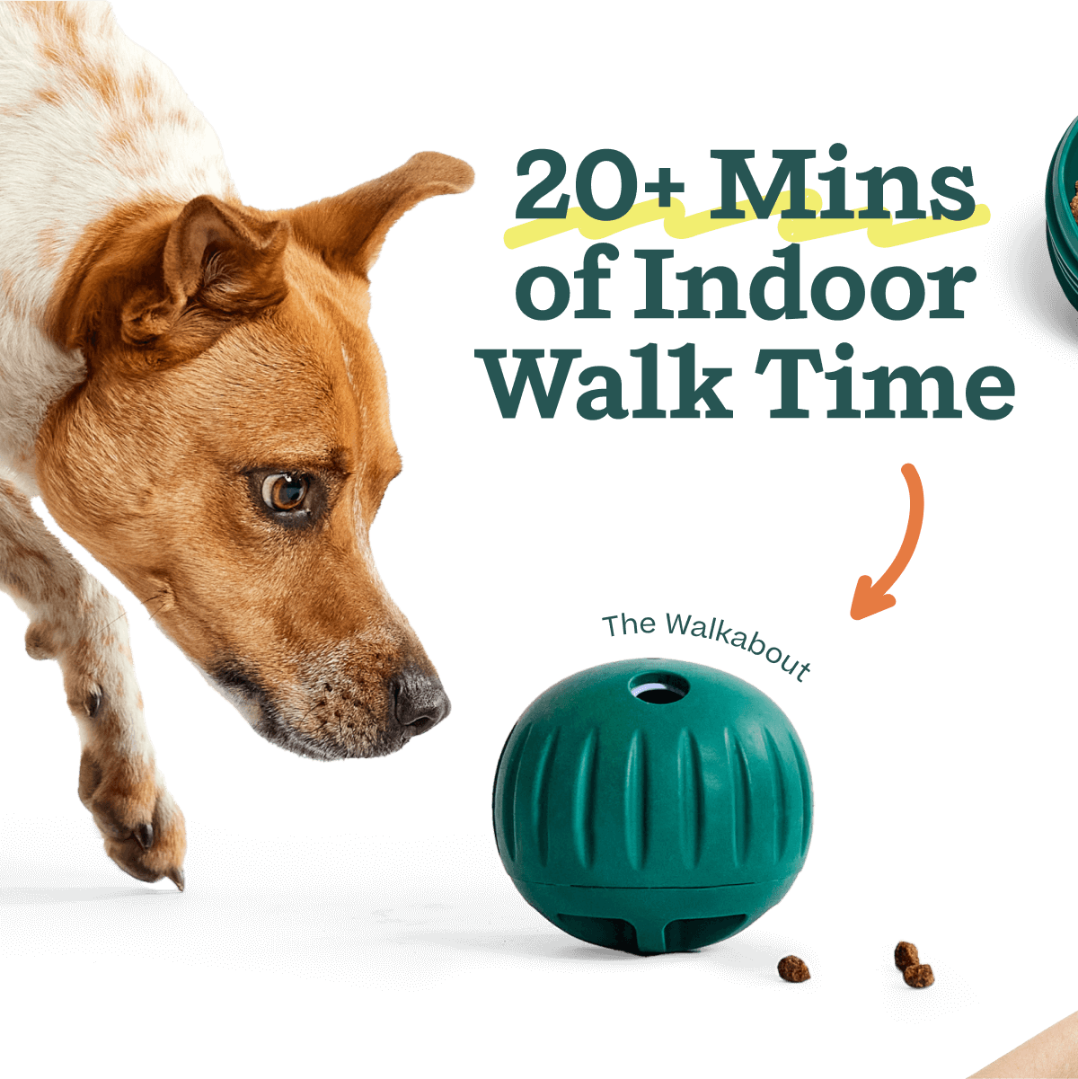 Healthier Enrichment Bundle