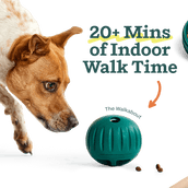 Healthier Enrichment Bundle