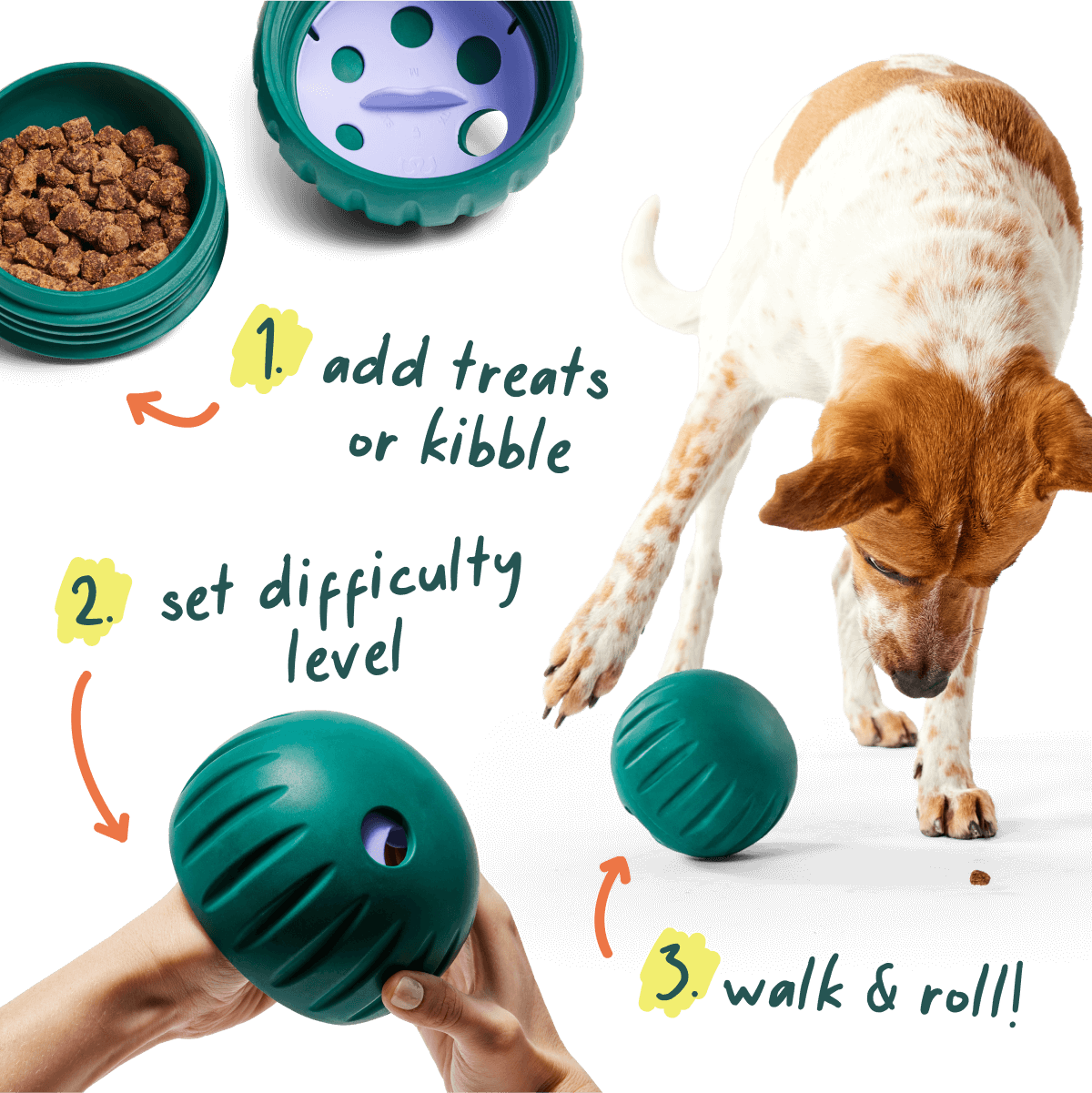 Healthier Enrichment Bundle