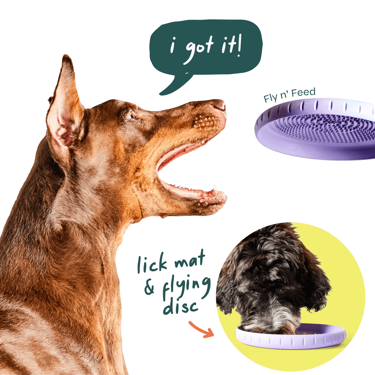 Healthier Enrichment Bundle