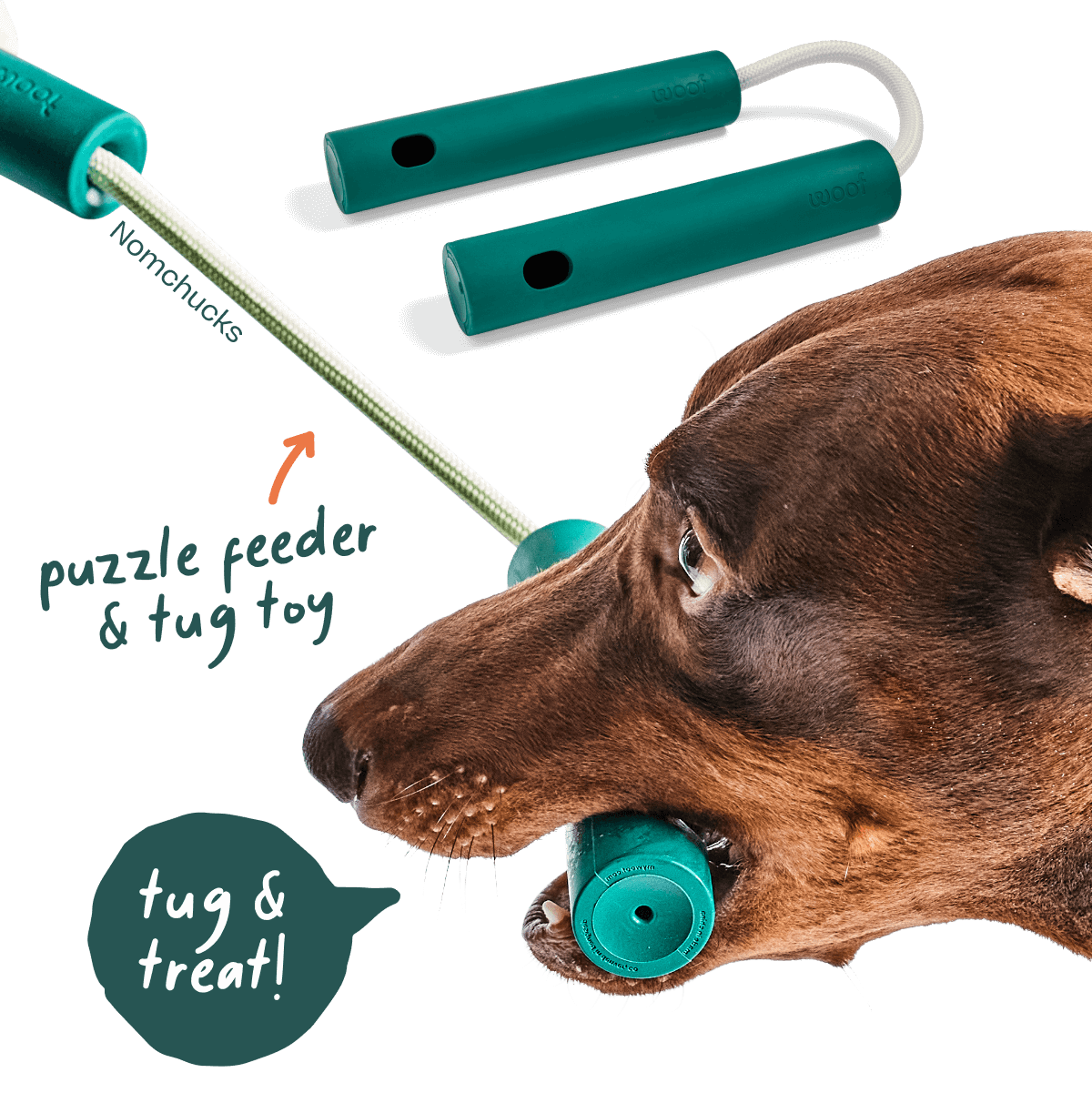 Healthier Enrichment Bundle