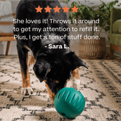 Healthier Enrichment Bundle