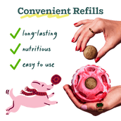 Healthy Holiday Helper Pack