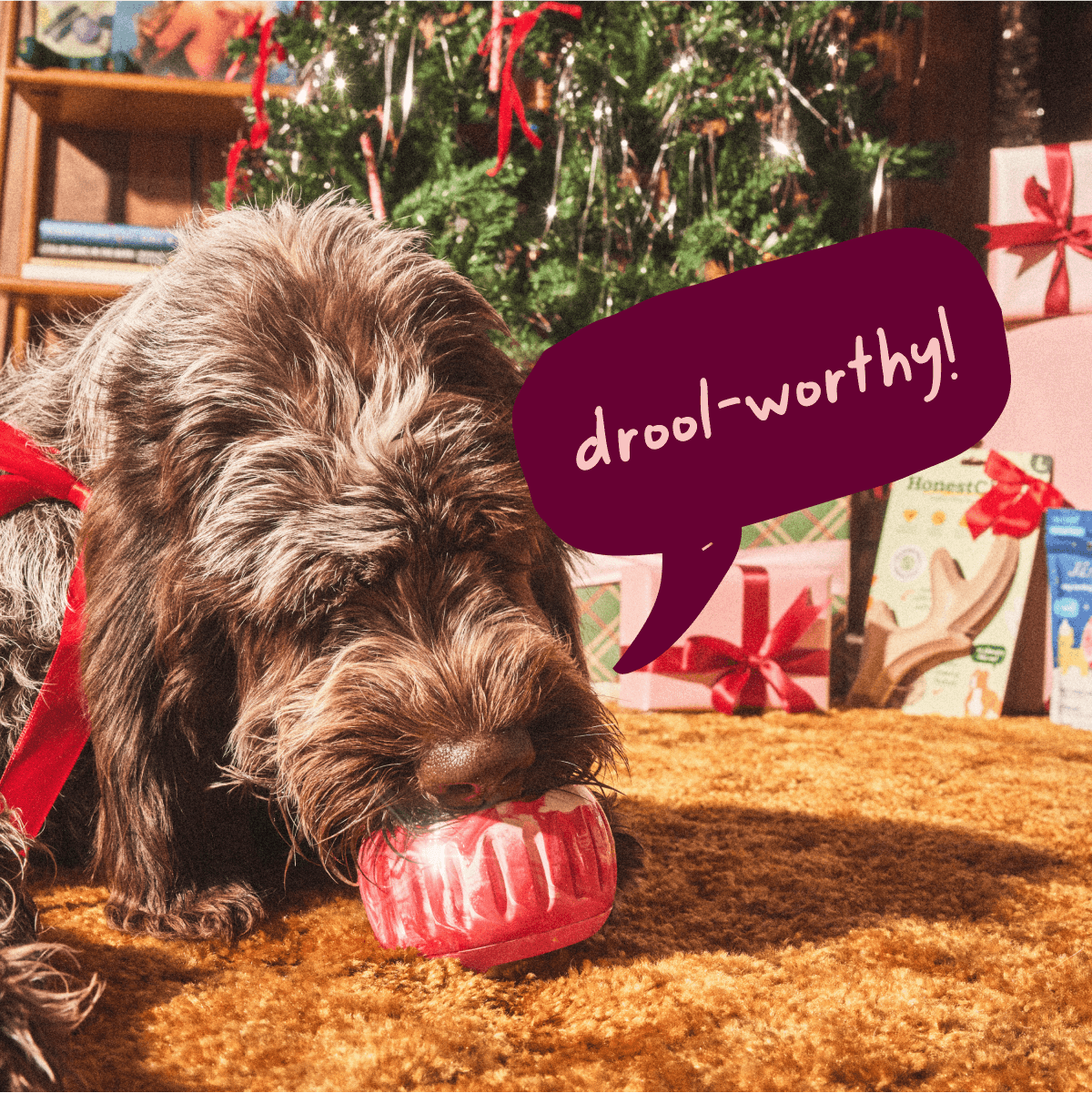 Healthy Holiday Helper Pack