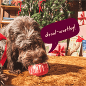 Healthy Holiday Helper Pack