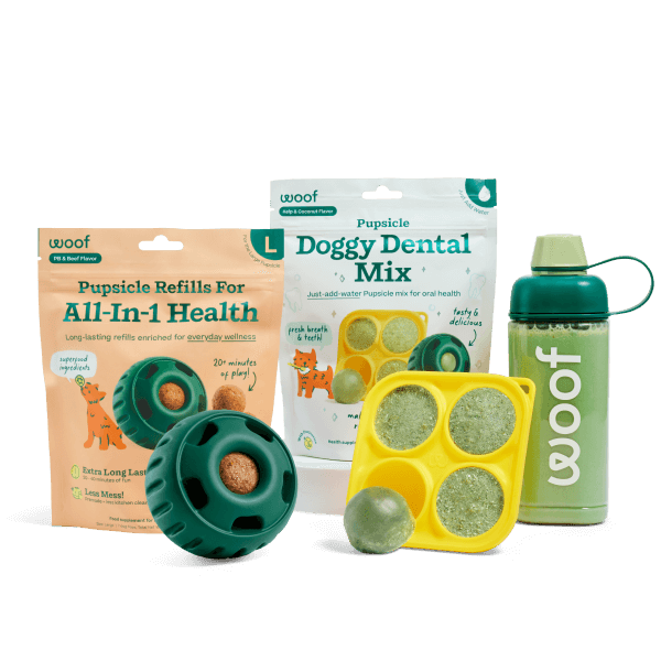 Healthy Holiday Helper Pack