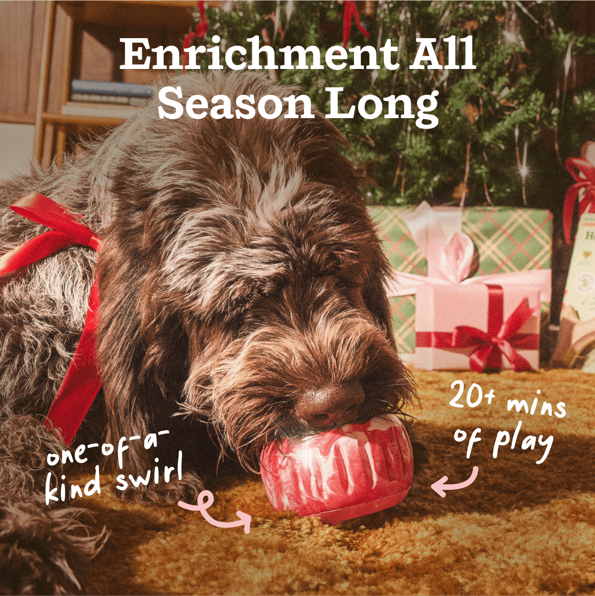 Holiday Pupsicle Pack