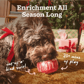 Holiday Pupsicle Pack