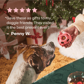 Holiday Pupsicle Pack