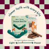 The Bite n' Brush Starter Pack