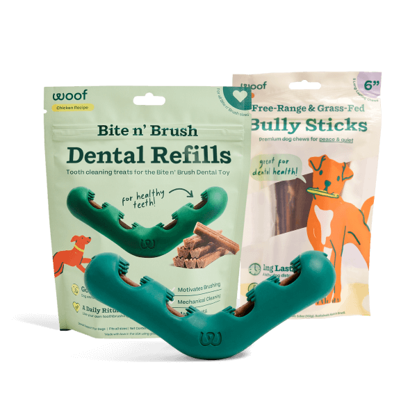 The Bite n' Brush Starter Pack