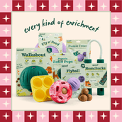 Festive Favorites Pack