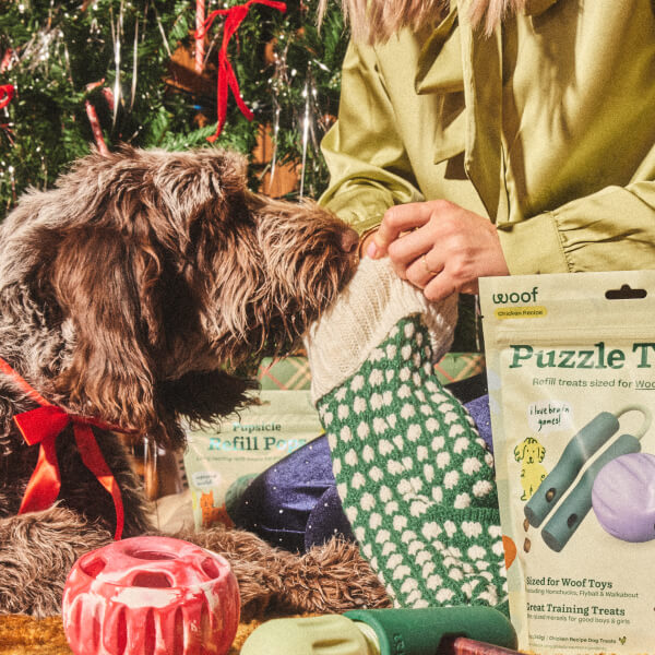 Festive Favorites Pack