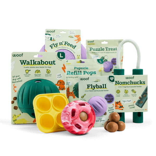 Festive Favorites Pack