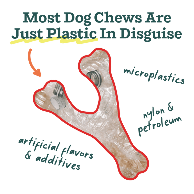 HonestChew Duo