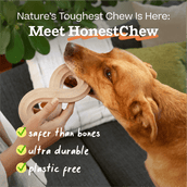 HonestChew Duo