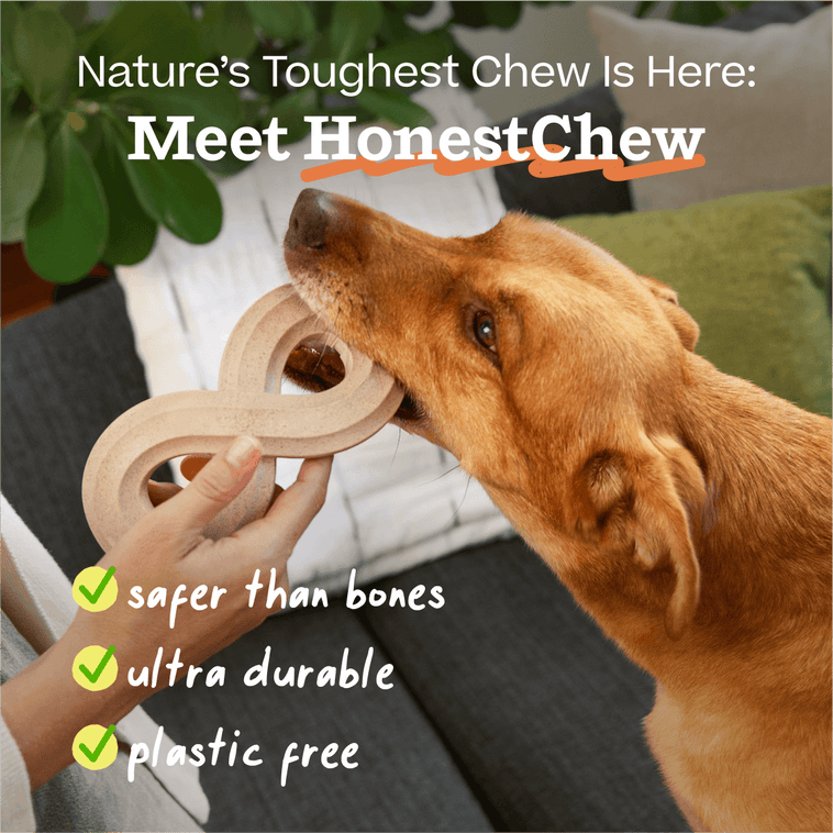 HonestChew Duo