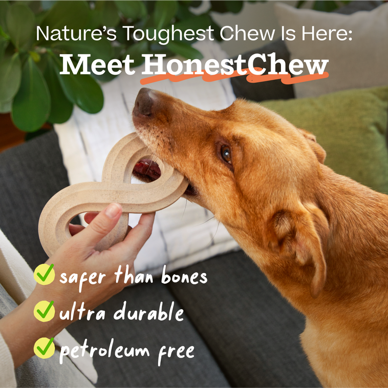 HonestChew Duo