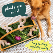 HonestChew Duo