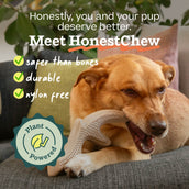 HonestChew