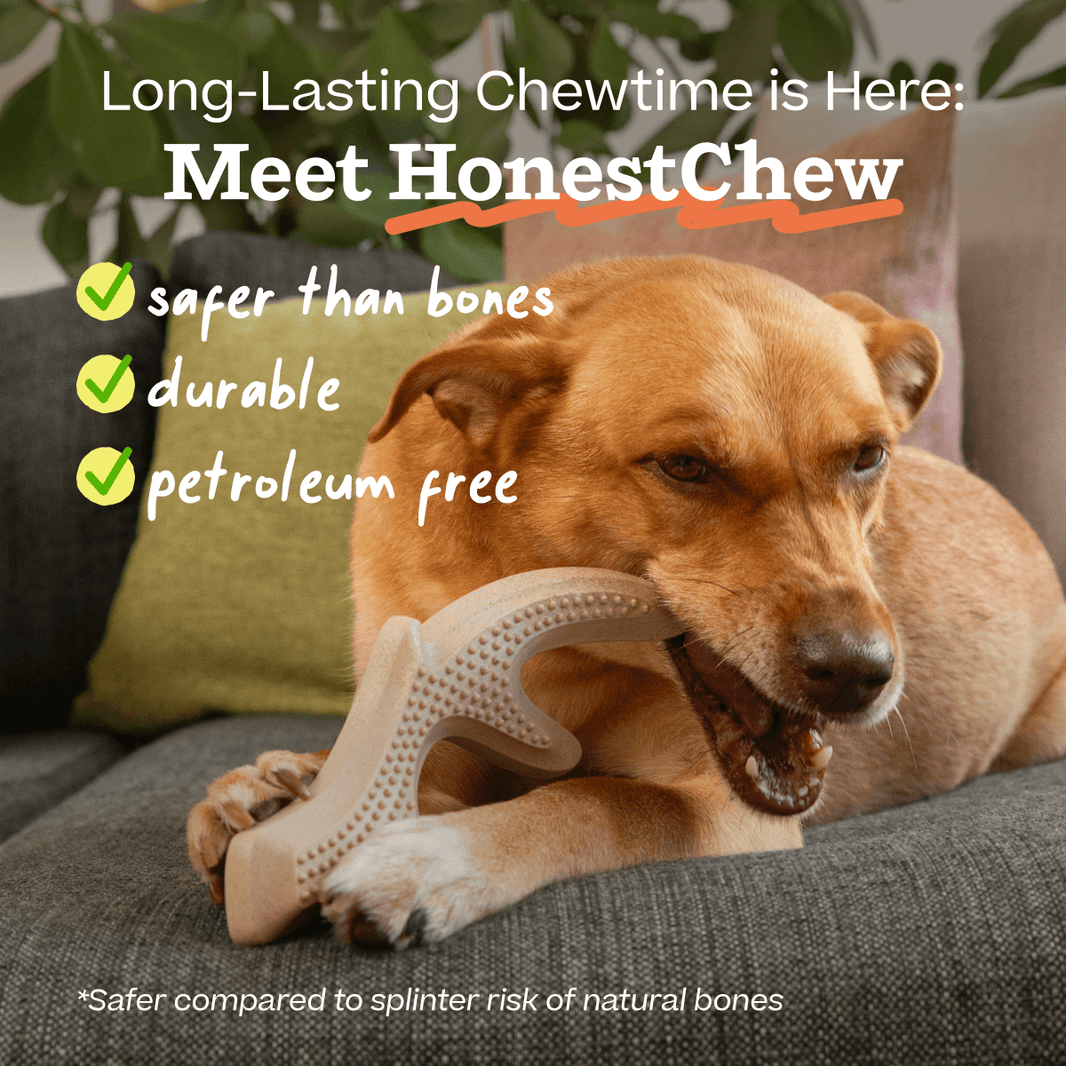 Calming Pupsicle Mix – Woof
