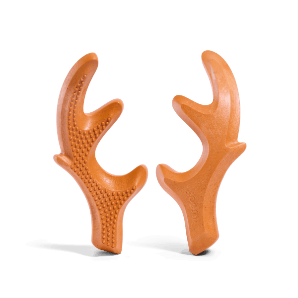 Pumpkin Spice HonestChew Duo