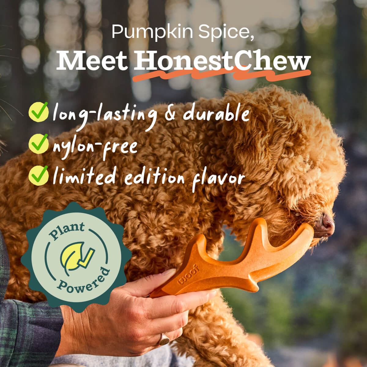 Pumpkin Spice HonestChew