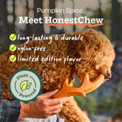Pumpkin Spice HonestChew