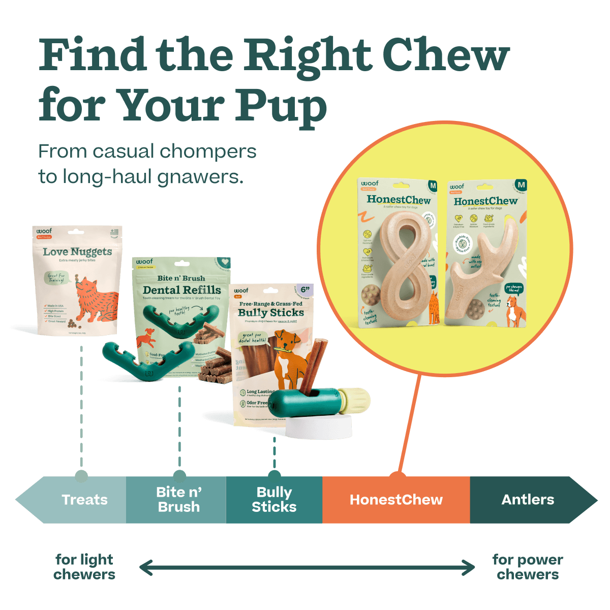 Pumpkin Spice HonestChew